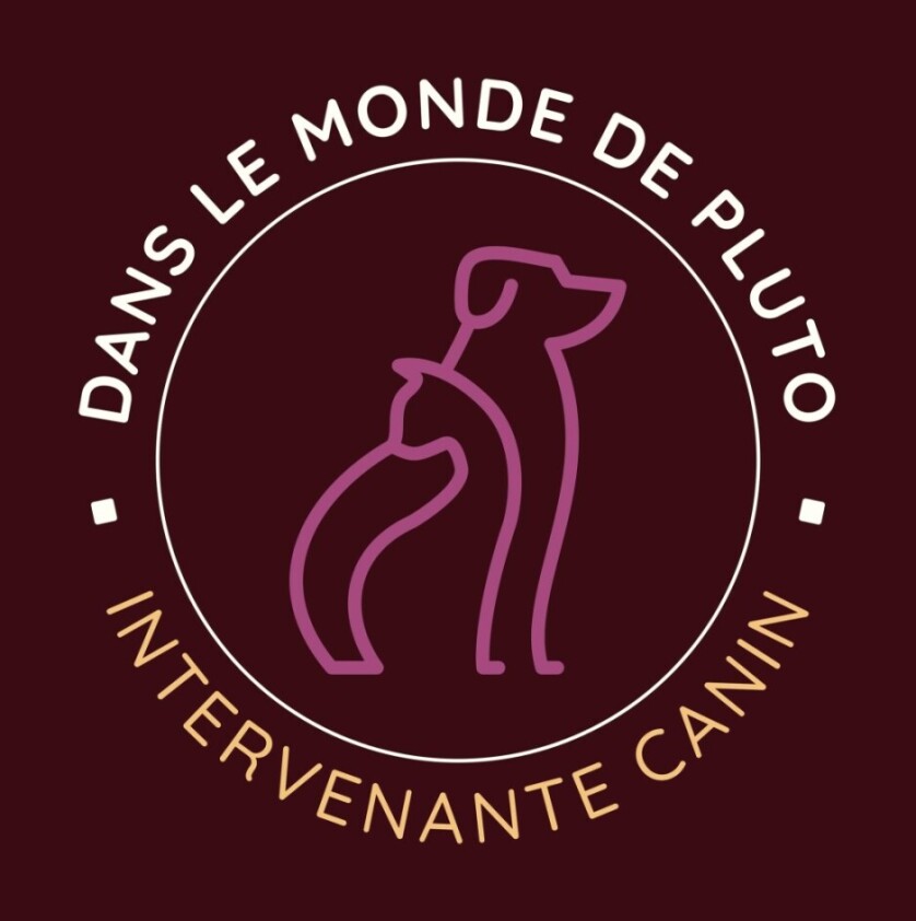 Dans le Monde de Pluto-logo Dans le Monde de Pluto-logo